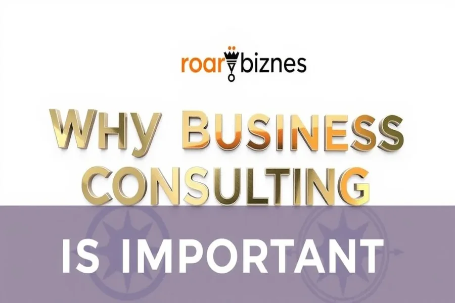 Why Business Consulting is Important Roarbiznes
